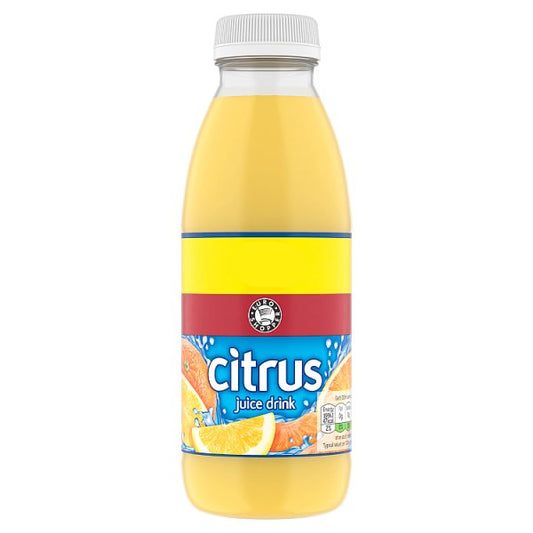 ES Citrus Juice Drink (500ml)